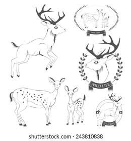 Set of vintage deer, emblems, labels, logo vector