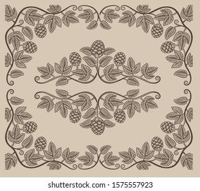 Set of vintage design elements of hop branches and borders for decoration or alcohol branding on the white background.