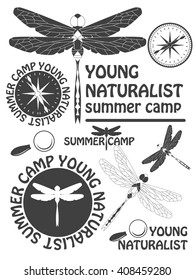 Set of vintage dragonfly labels, badges and design elements. Vector illustration