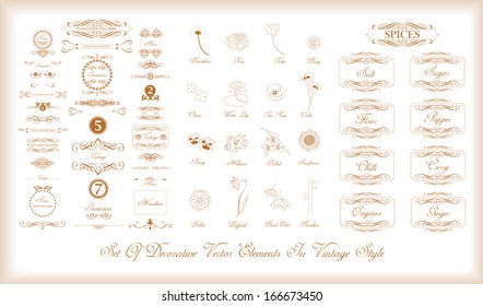 set of vintage elements, flowers, borders and labels