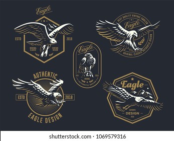 Set of the vintage emblem with the eagle