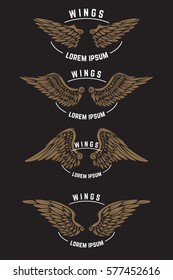 Set of vintage emblem templates with wings. Design elements for logo, label, emblem, poster. Vector illustration