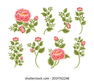 Set of vintage feminine peony flower bouquet vector illustration arrangements for logo, beauty products, decoration, wedding invitation, greeting cards, aesthetic elements for various purposes