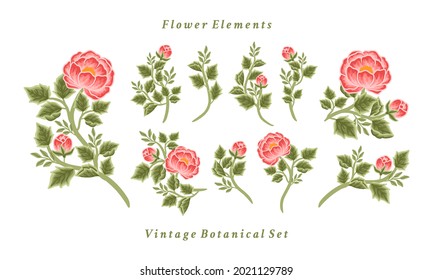 Set of vintage feminine peony flower bouquet vector illustration arrangements for logo, beauty products, decoration, wedding invitation, greeting cards, aesthetic elements for various purposes