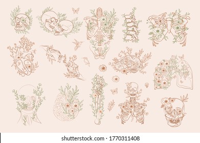 Set of Vintage Floral Anatomy elements in one line. Human skeleton and inner organs with flowers and leaves. Editable vector illustration.