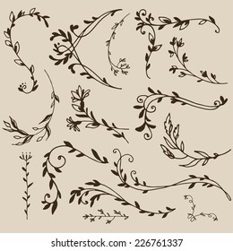 Set of vintage floral design elements.