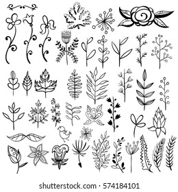 Set of vintage floral elements. Vector decoration collection. Hand drawn flowers, leaves and page decor.