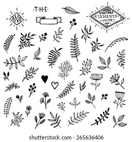 Set of Vintage Floral Hand-Sketched Elements. Flowers, Hearts, Calligraphic Elements, Labels, Logo, Catchwords, Wreaths and Bursting Rays for Retro Design.