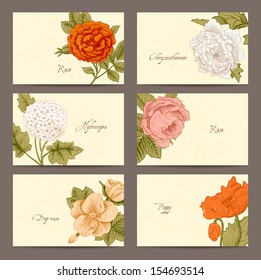 Set of Vintage Floral horizontal business cards. Six cards with roses, hydrangea, dog-rose, chrysanthemum and poppy on a beige background