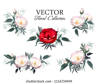 Set of vintage floral vector bouquet of peonies and garden flowers, botanical natural flowers peonies Illustration on white. Summer floral peonies greeting card, flower decoration bouquet