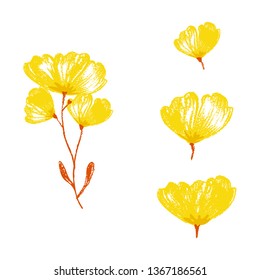 Set of vintage floral vector bouquet of garden flowers, botanical natural flowers Illustration on white. Summer floral greeting card, flower decoration bouquet