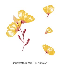 Set of vintage floral vector bouquet of peonies and garden flowers, botanical natural flowers peonies Illustration on white. Summer floral peonies greeting card, flower decoration bouquet