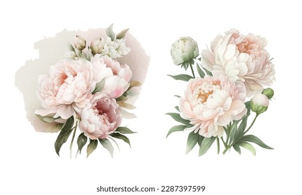 Set of vintage floral vector bouquet of peonies flowers, botanical natural flowers peonies Illustration