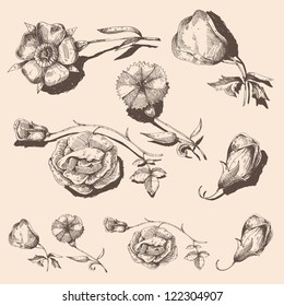 Set of vintage flowers