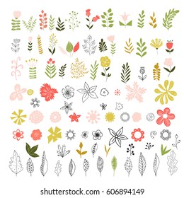 Set of vintage flowers, herbs and leaves.