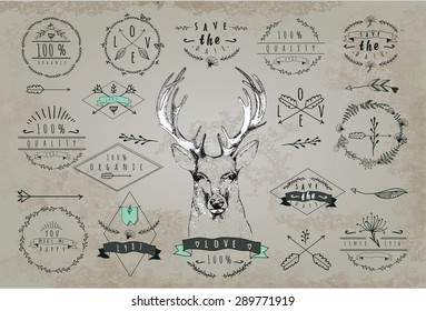 Set of vintage frames and labels with deer. Font design elements and page decoration Label collection with vintage engraving flowers. Hipster design of diffrent phrases like save date, 100% organic