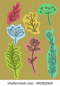 Set Vintage graphic floral, plants collection.Line art