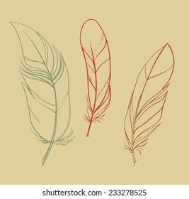 Set of vintage hand drawn feathers,vector illustration 