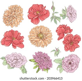 Set of vintage hand drawn flower. Vector illustration. Big selection of various flowers isolated on white background.