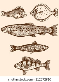 Set of vintage hand drawn saltwater fishes