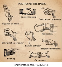 Set of vintage hands - Various Positions in vector - High Quality