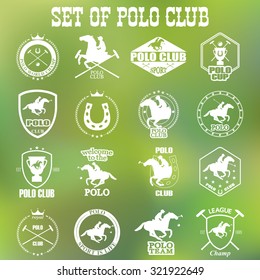 Set of vintage horse polo club labels and badges