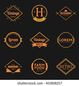 Set of Vintage Logo and Badge. Vintage design element, logo, badge, brand, identity, object and label vector illustration