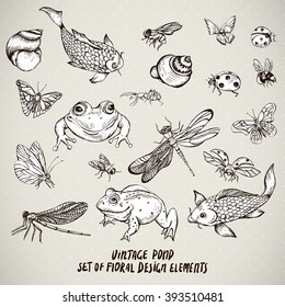 Set of vintage monochrome pond water animals vector elements, Botanical shabby chic illustration frog snail, shell dragonfly carp, butterfly, ladybird fly ant