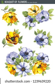 Set of vintage natural design elements. Greeting beautiful bouquet blossoming spring anemones. Elegant isolated flowers on the white background. Illustration for print. Big floral collection