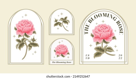 Set of vintage pastel pink garden rose wildflower feminine logo elements and beauty product label vector illustration templates with botanical leaf branch and frame