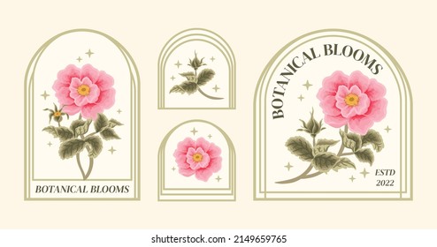 Set Of Vintage Pastel Pink Garden Rosa Canina Wildflower Feminine Logo Elements And Beauty Product Label Vector Illustration Templates With Botanical Leaf Branch And Frame