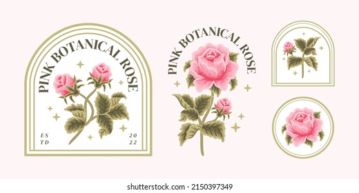 Set of vintage pastel pink garden rose wildflower feminine logo elements and beauty product label vector illustration templates with botanical leaf branch and frame