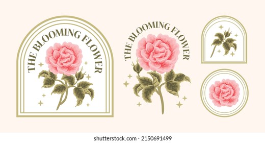 Set of vintage pastel pink garden rose wildflower feminine logo elements and beauty product label vector illustration templates with botanical leaf branch and frame