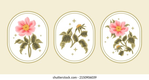 Set Of Vintage Pastel Pink Garden Rosa Canina Wildflower Feminine Logo Elements And Beauty Product Label Vector Illustration Templates With Botanical Leaf Branch And Frame