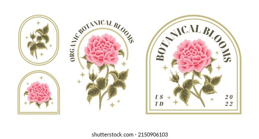 Set of vintage pastel pink garden chrysanthemum, rose wildflower feminine logo elements and beauty product label vector illustration templates with botanical leaf branch and frame