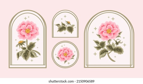 Set of vintage pastel pink garden rose wildflower feminine logo elements and beauty product label vector illustration templates with botanical leaf branch and frame