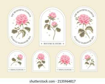 Set of vintage pink rose flowers for feminine beauty floral logo elements and label vector illustration template collection with leaf branch and frame