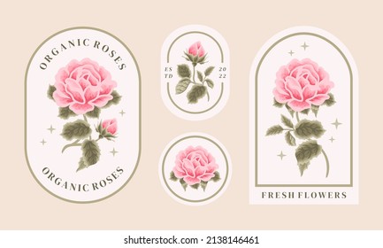 Conjunto de flores rosadas vintage para la belleza femenina elementos de logotipo floral y colección de plantillas de ilustraciones vectoriales de etiqueta con rama de hoja y marco