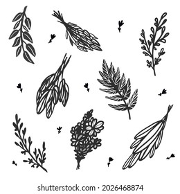 set with vintage plants, leaves