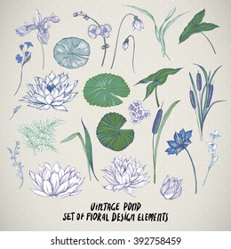 Set of vintage pond water flowers vector elements, Botanical shabby chic illustration reeds, lily, iris, wildflowers leaves and twigs.