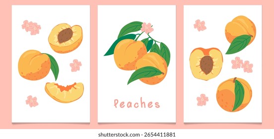 A set of vintage posters featuring ripe peaches drawn by hand. A modern botanical print with hand-drawn peaches, leaves, and flowers.