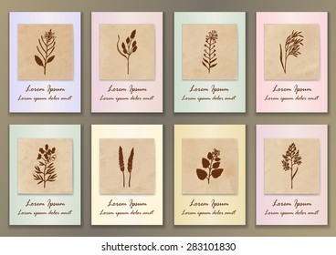 Set Vintage Posters with hand drawn ink herbs. Vector illustration for banners, posters, fliers, cards, covers, brochures  etc 