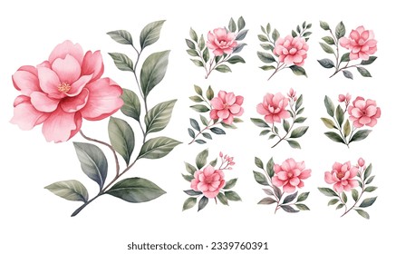 Set of vintage red flower watercolor