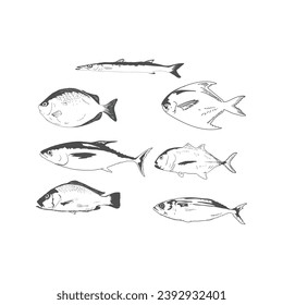 Set of Vintage Retro Set Collection Kind of Consumption of Ocean Sea Fish Illustration Vector