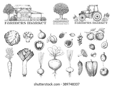 Set of vintage retro farm logo. Label and design elements: tree, tractor and house. Vegetables, fruit and berry. Fresh eco food. Hand drawn illustration of style engraving.