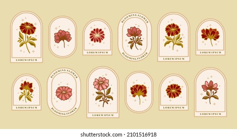 Set of vintage retro feminine beauty daisy, carnation, gerbera floral logo, label elements with frame