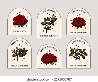 Set of vintage retro feminine red rose flower, peony floral logo, elegant label template elements with frame for cosmetics, gift tags, sticker, branding, beauty and handmade products