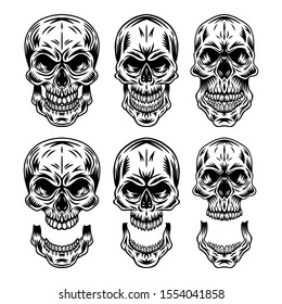 Set of Vintage retro human skull and jaw isolated vector illustration on a white background. Design element for logo, badge, tattoo, banner, poster.