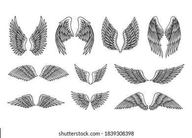 Set of vintage retro wings vector illustration. Design elements of heraldic wings for logo, sign, label, badge, emblem isolated on white