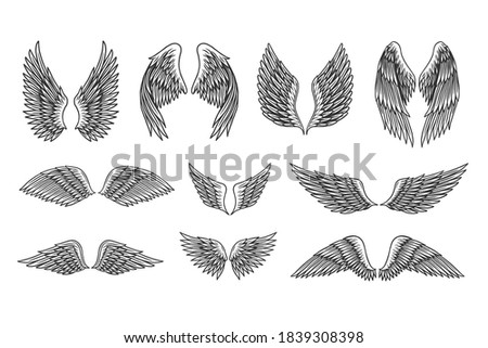 Set of vintage retro wings vector illustration. Design elements of heraldic wings for logo, sign, label, badge, emblem isolated on white